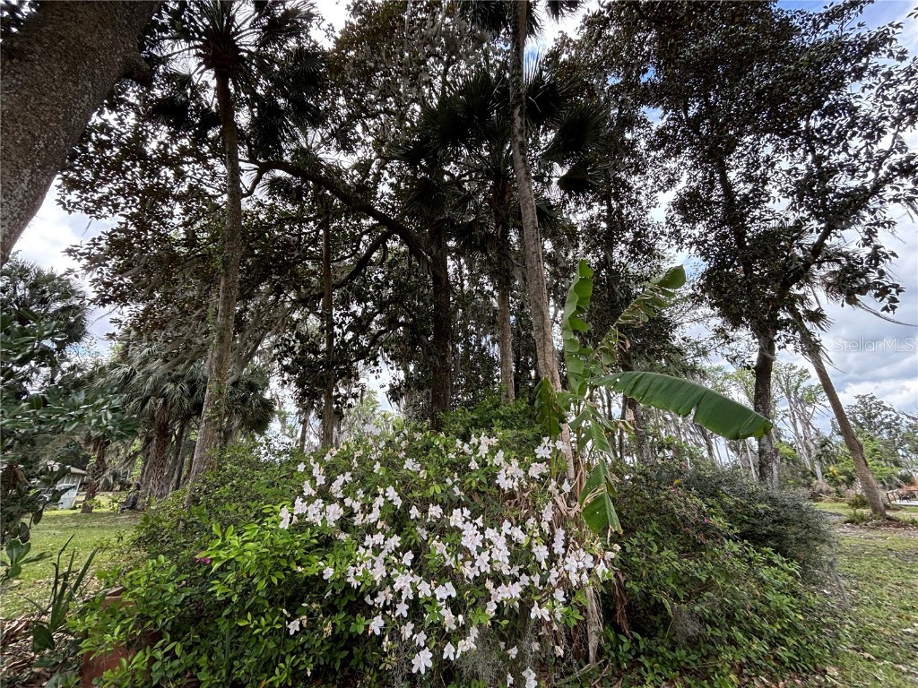 216 Little Orange Lake Drive Hawthorne FL 32640 GC529346 image27