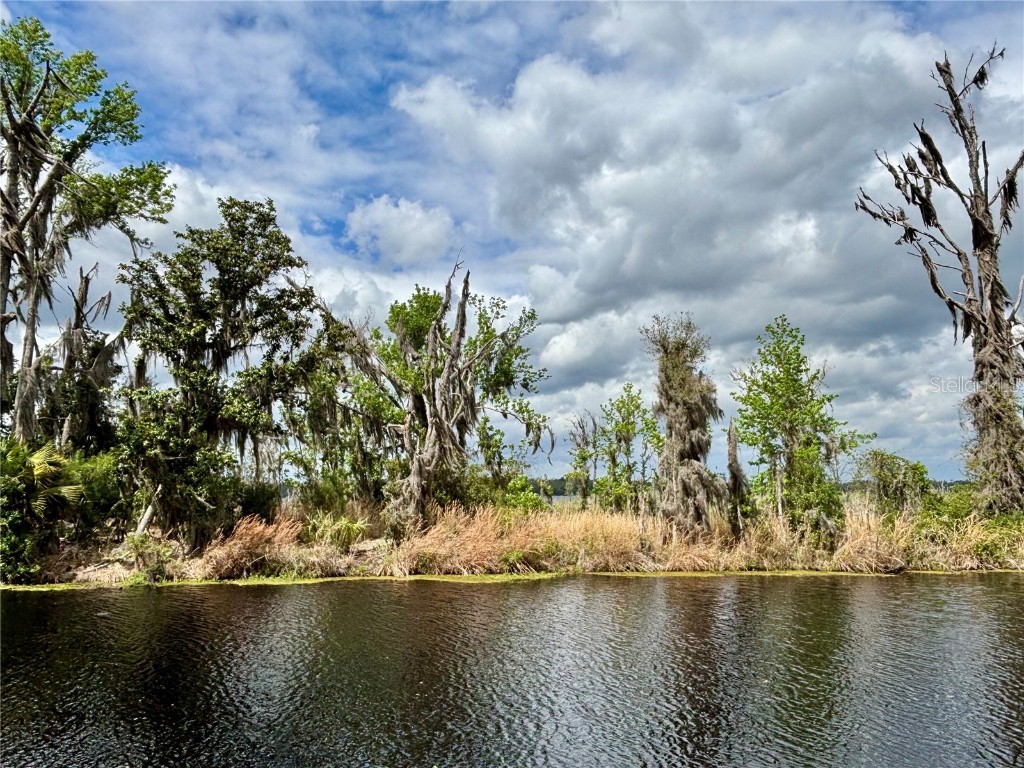 216 Little Orange Lake Drive Hawthorne FL 32640 GC529346 image3