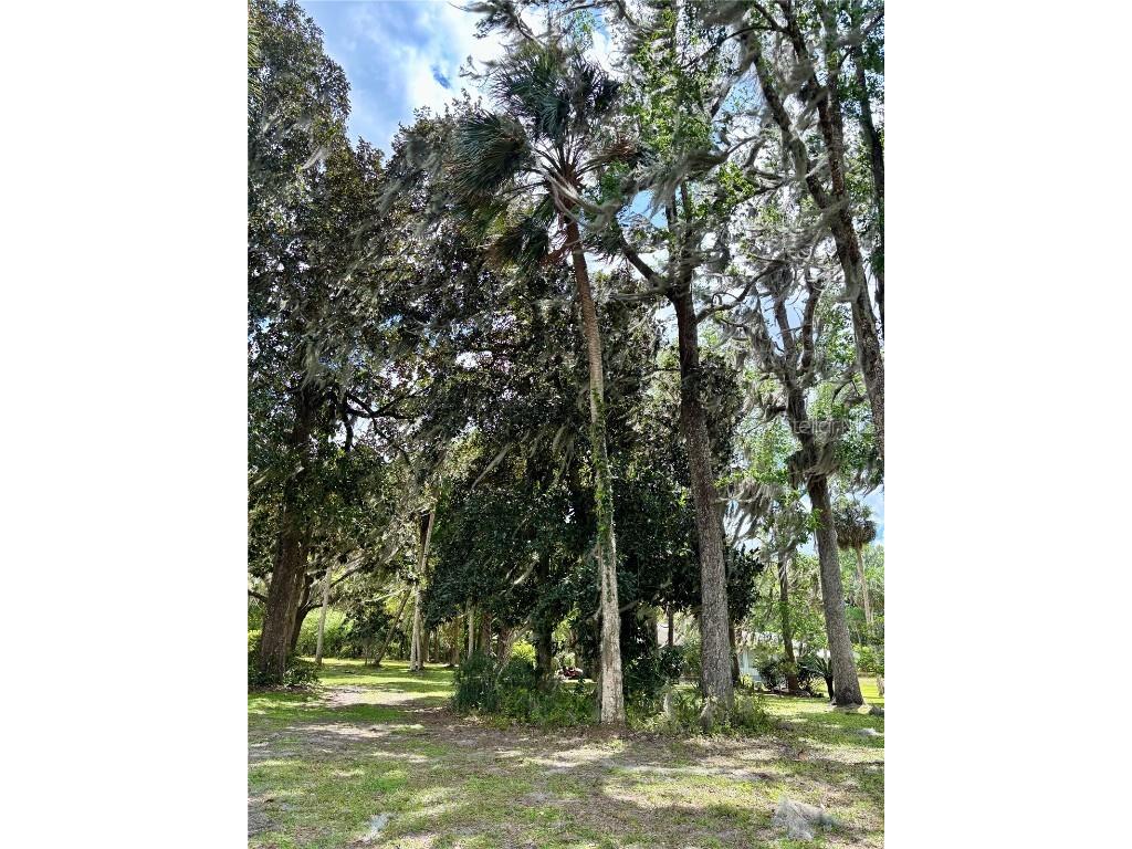 216 Little Orange Lake Drive Hawthorne FL 32640 GC529346 image30