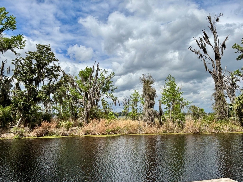 216 Little Orange Lake Drive Hawthorne FL 32640 GC529346 image32