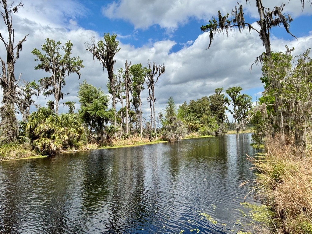 216 Little Orange Lake Drive Hawthorne FL 32640 GC529346 image5