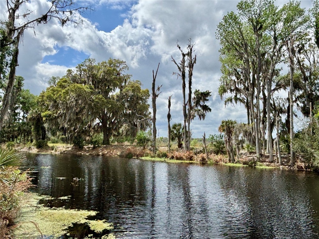 216 Little Orange Lake Drive Hawthorne FL 32640 GC529346 image6