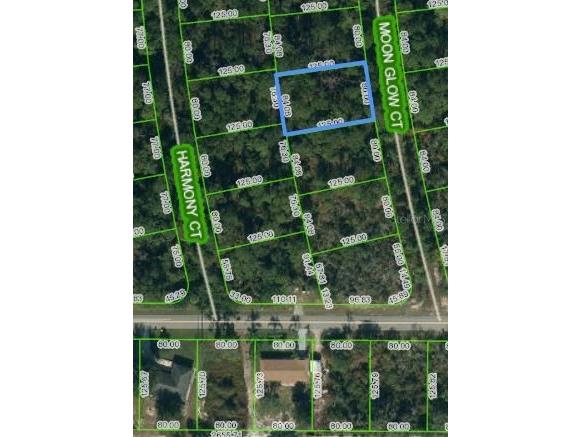 216 Moon Glow Court Lake Placid FL 33852 OM621107 image1