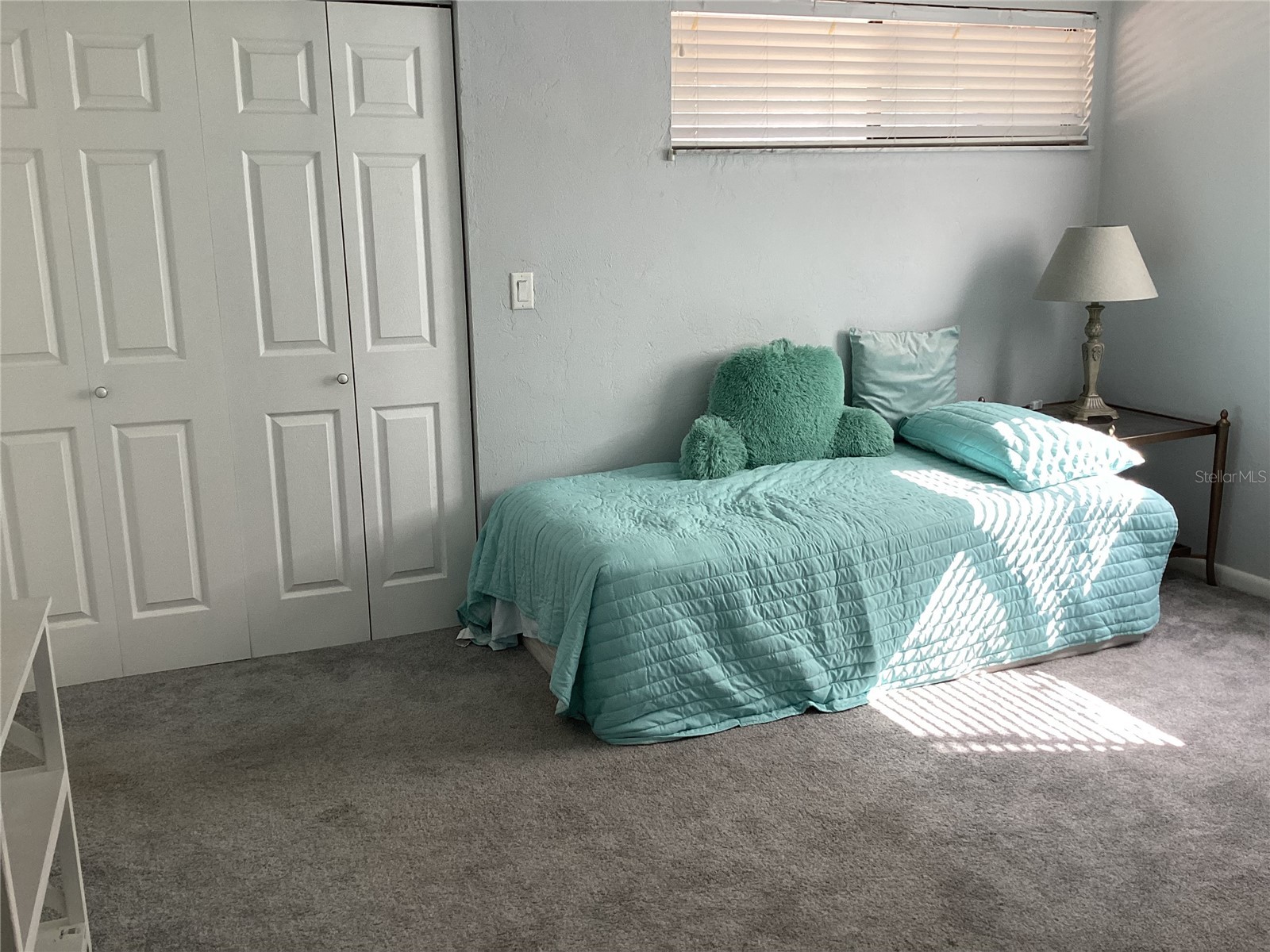 216 Pine Cone Trail Ormond Beach FL 32174 NS1086883 image48