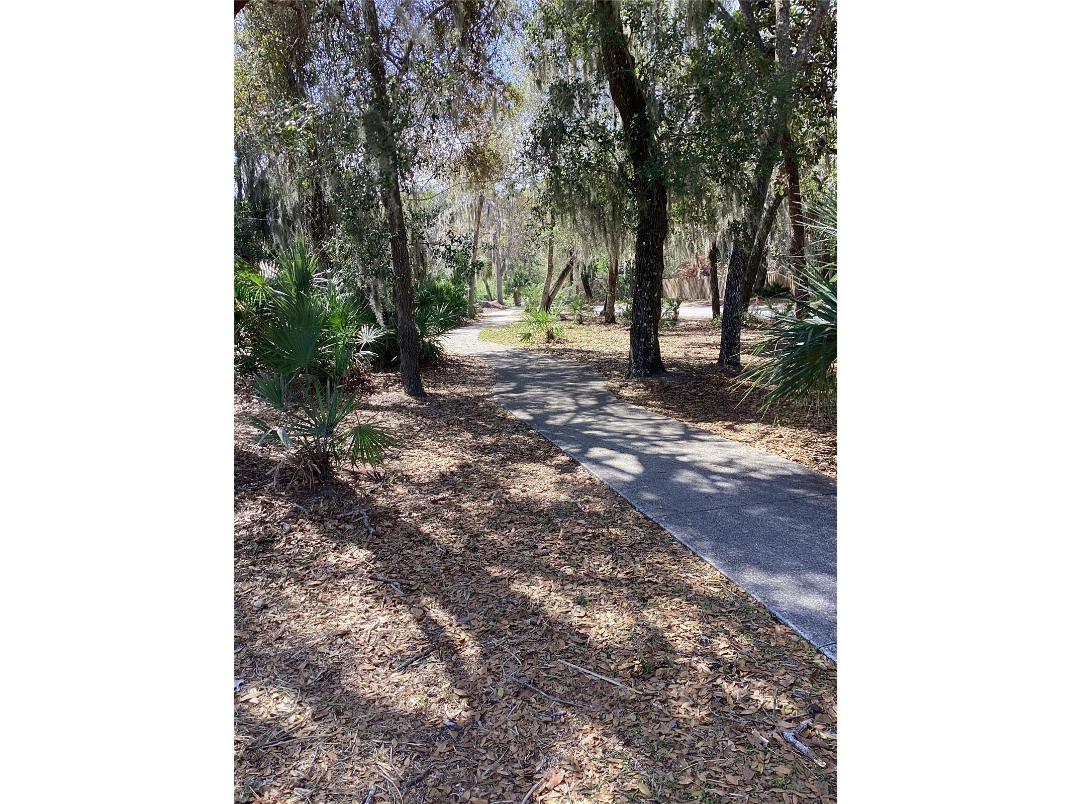 216 Pine Cone Trail Ormond Beach FL 32174 NS1086883 image56