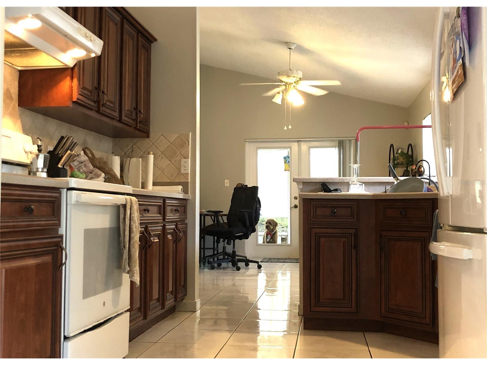 216 Sandhill Crane Run Orlando FL 32828 O6407209 image10