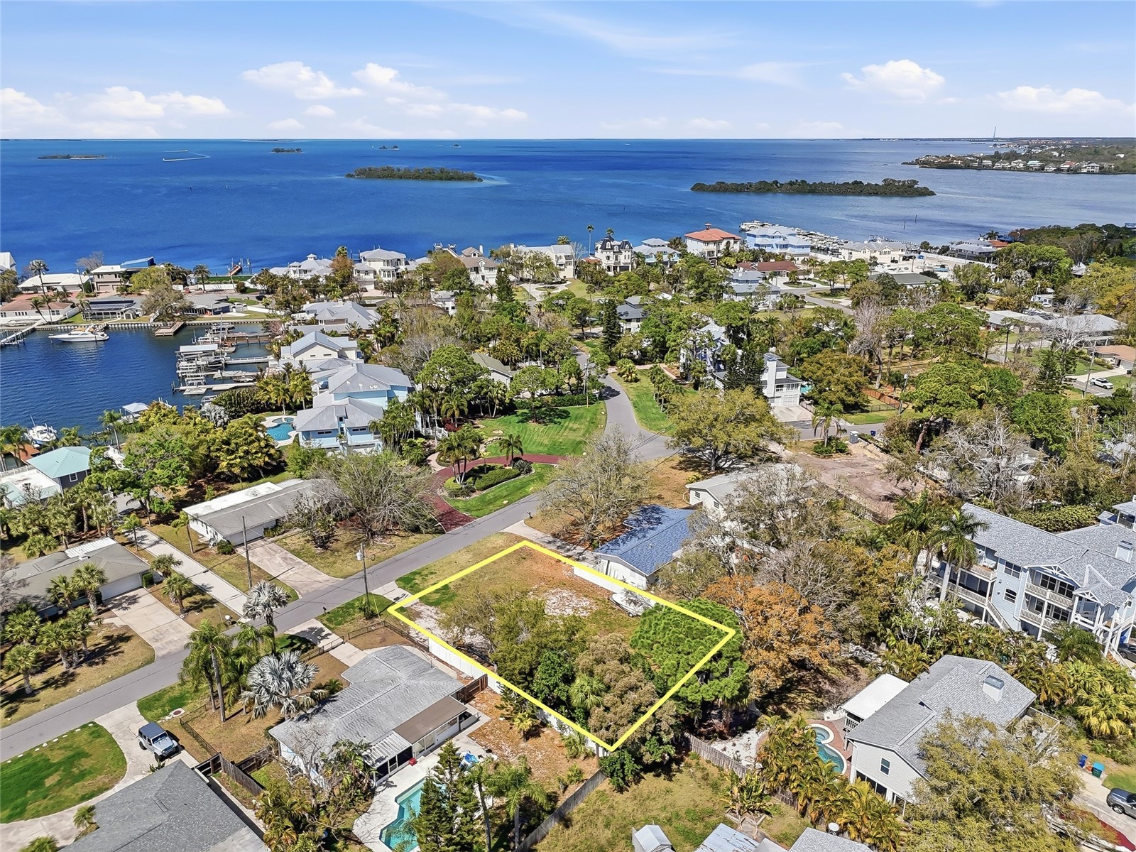 216 Shore Drive Palm Harbor FL 34683 TB8484212 image10