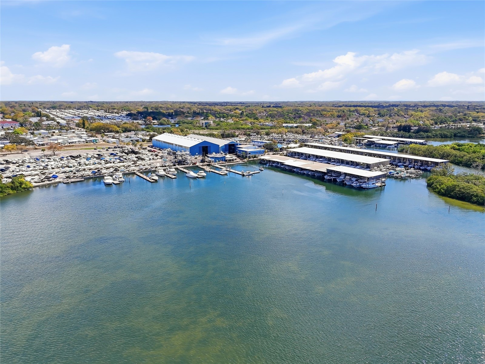 216 Shore Drive Palm Harbor FL 34683 TB8484212 image39