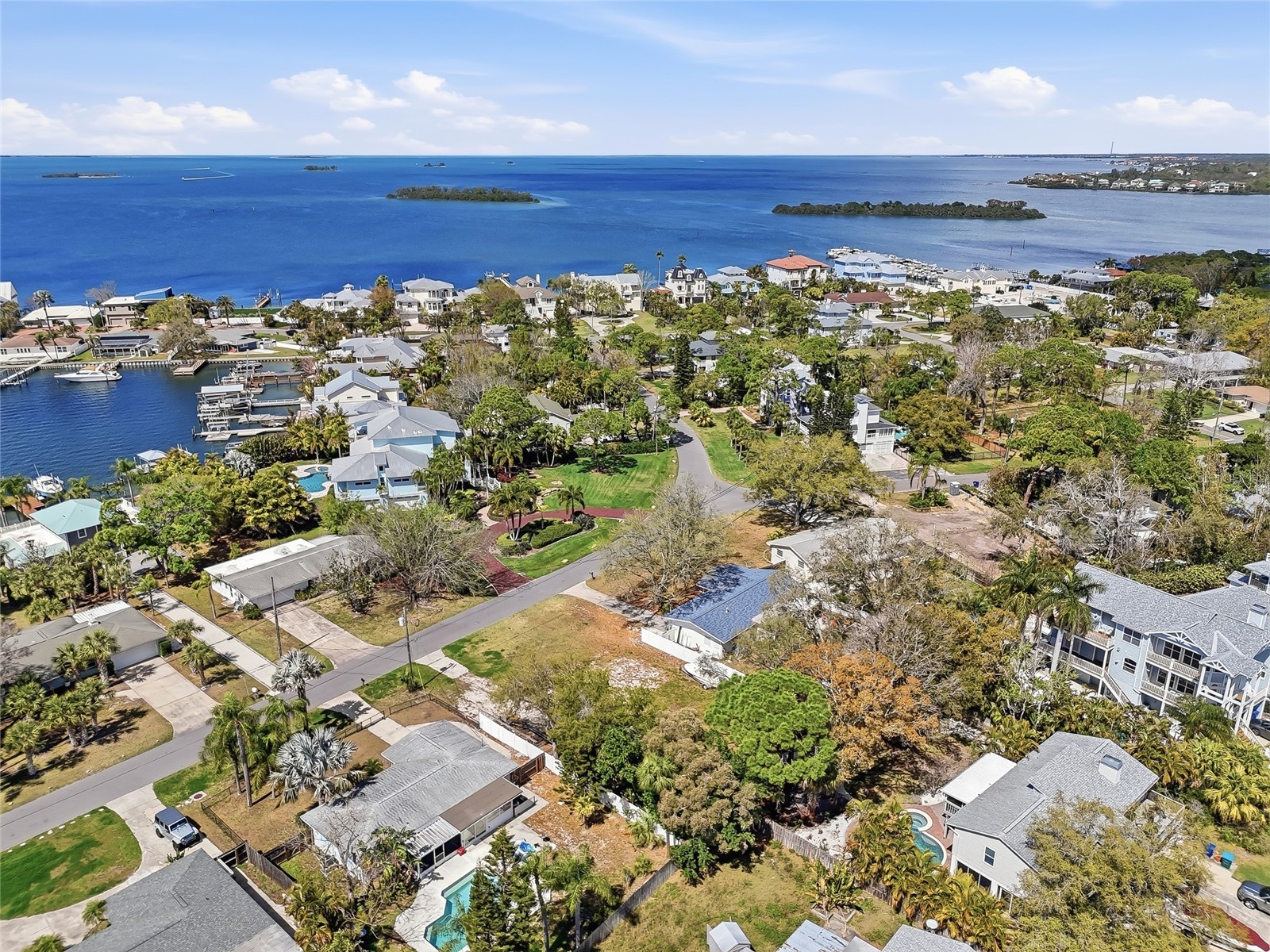 216 Shore Drive Palm Harbor FL 34683 TB8484212 image9