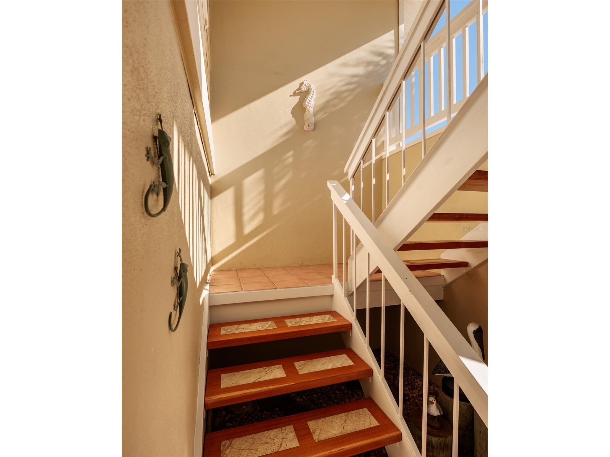 216 Sun Vista Ct S Treasure Island FL 33706 TB8458795 image19