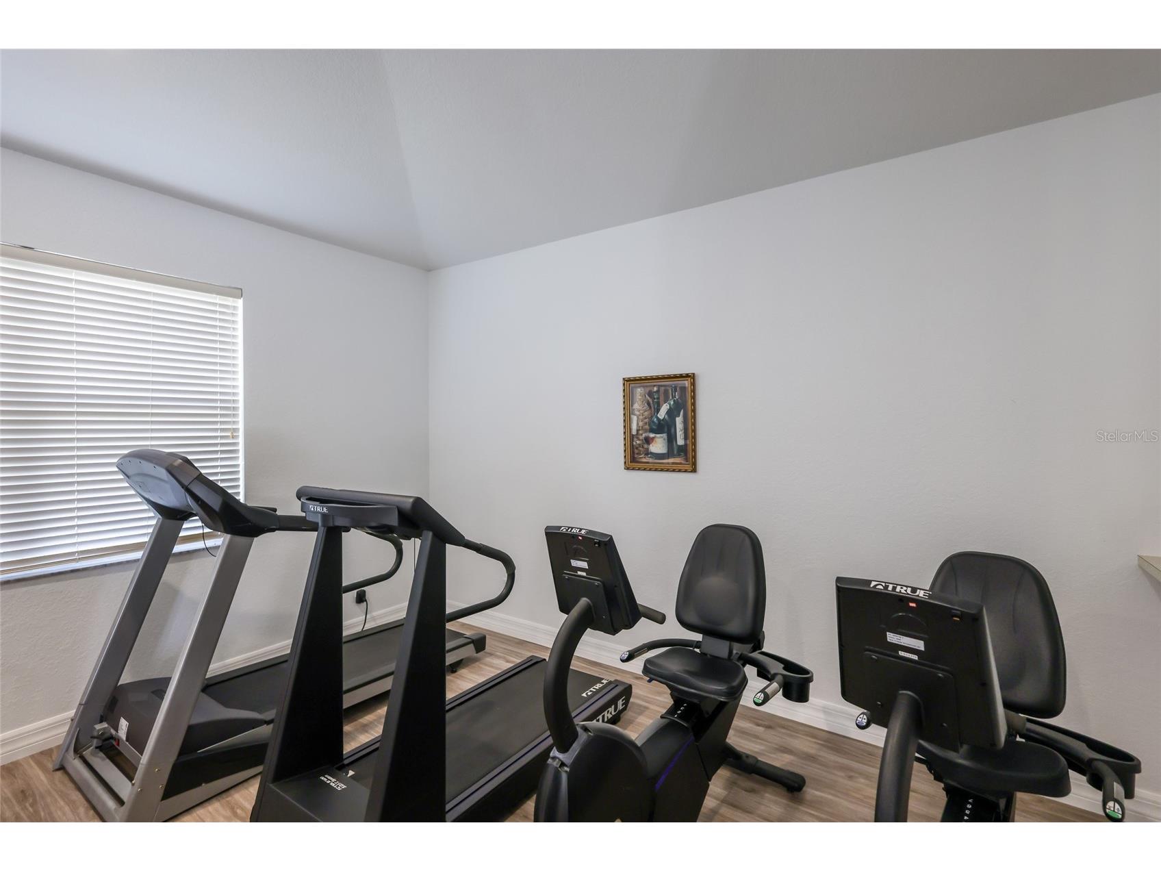 216 Vista Del Lago Way Venice FL 34292 A4694205 image30