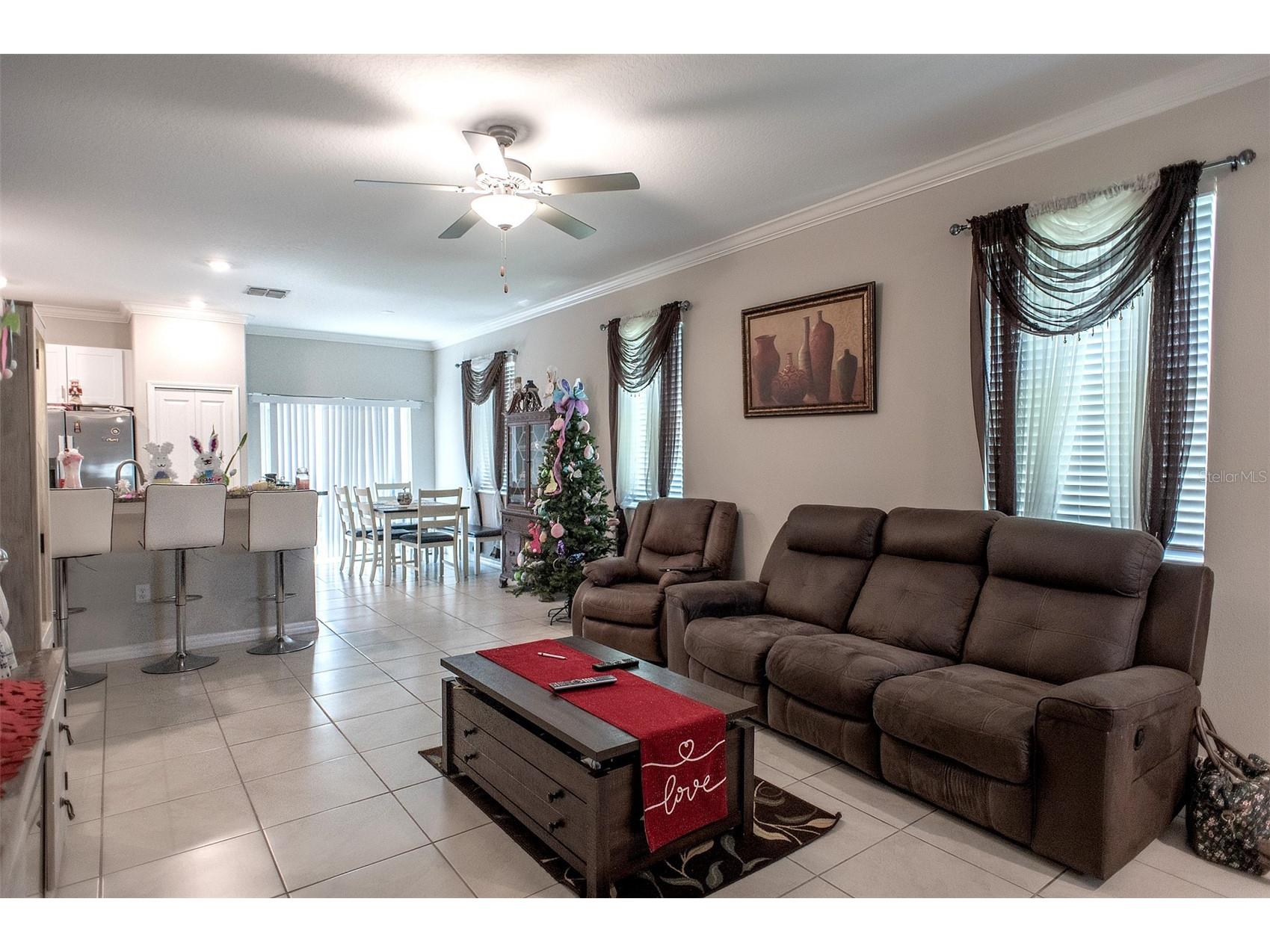 2160 Cerulean Sky Drive Lutz FL 33558 TB8497959 image10