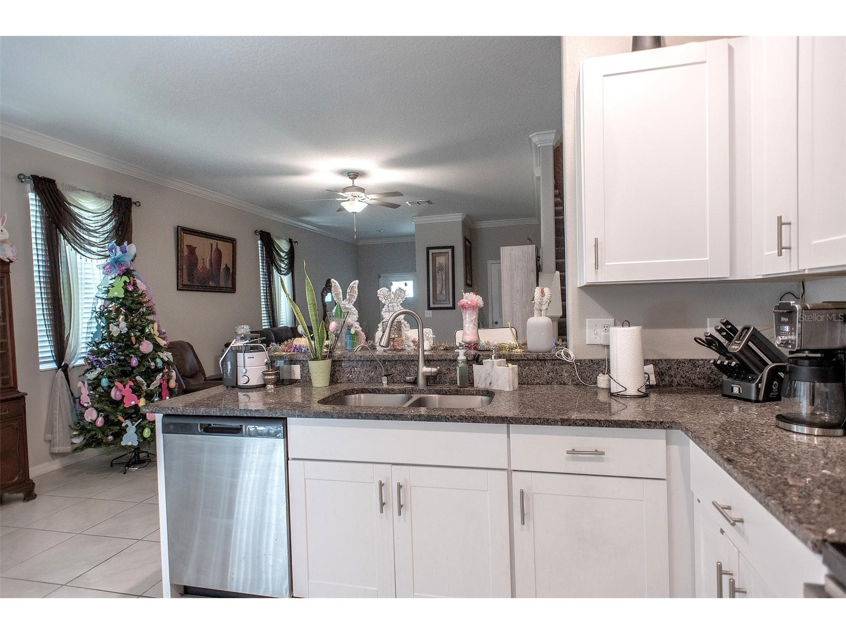 2160 Cerulean Sky Drive Lutz FL 33558 TB8497959 image12
