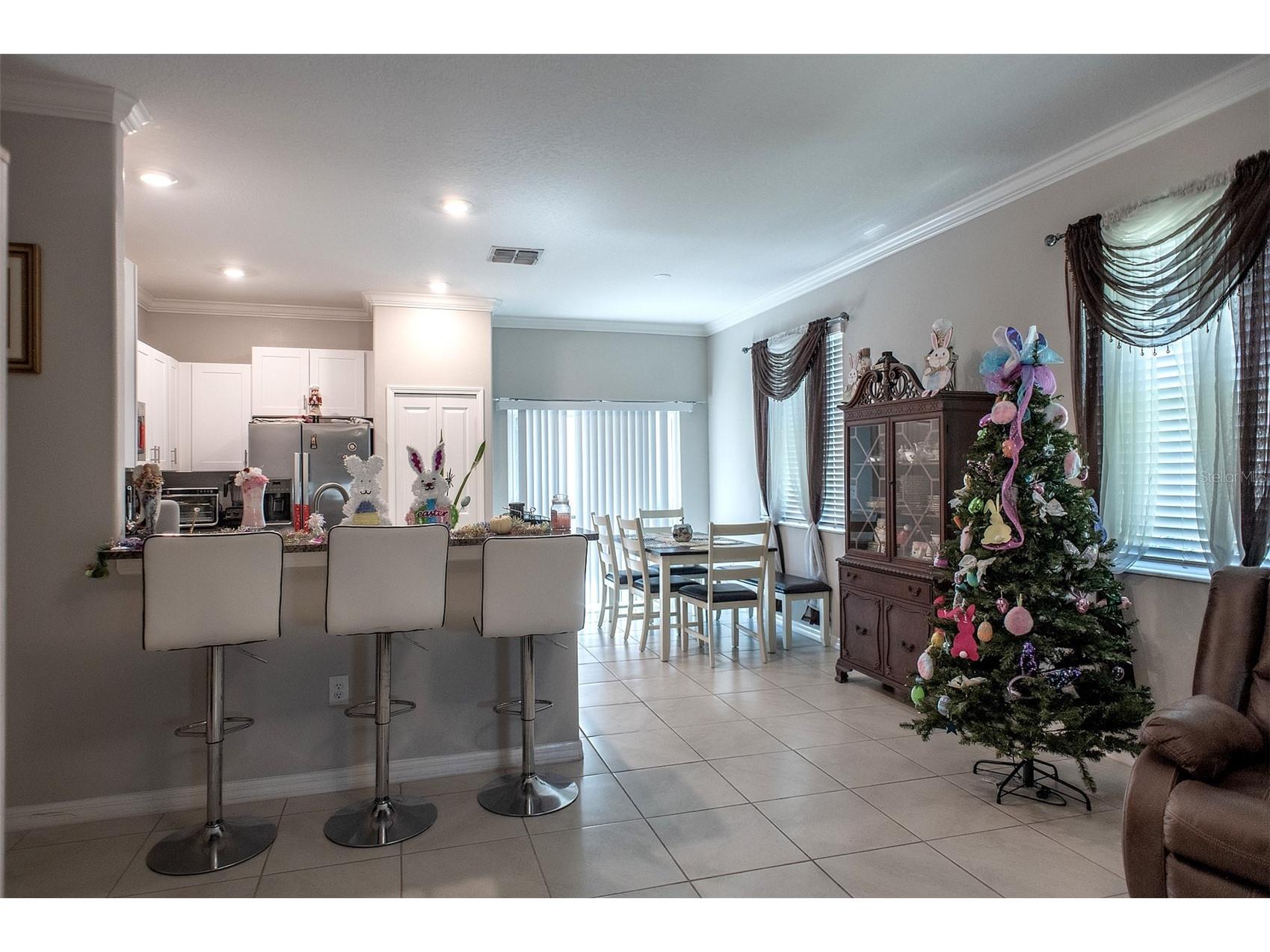 2160 Cerulean Sky Drive Lutz FL 33558 TB8497959 image15