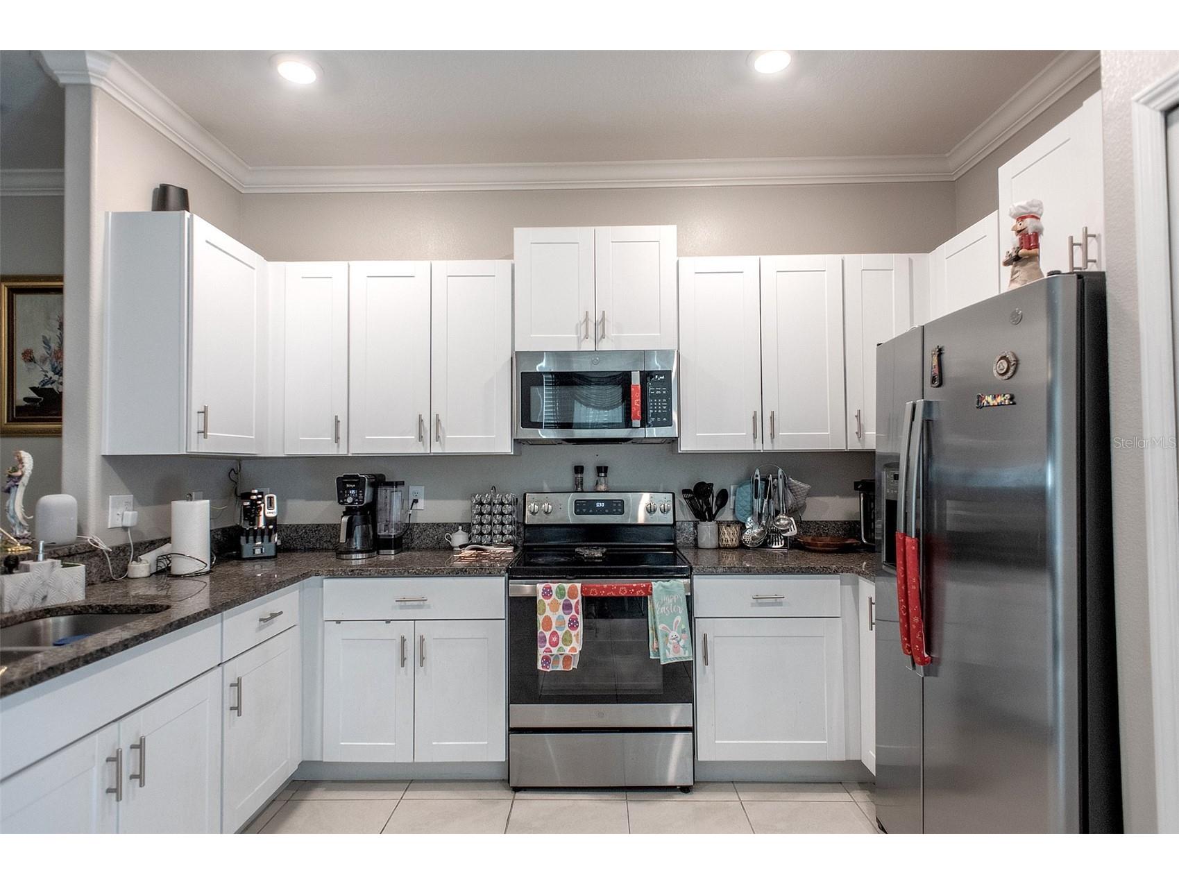 2160 Cerulean Sky Drive Lutz FL 33558 TB8497959 image18