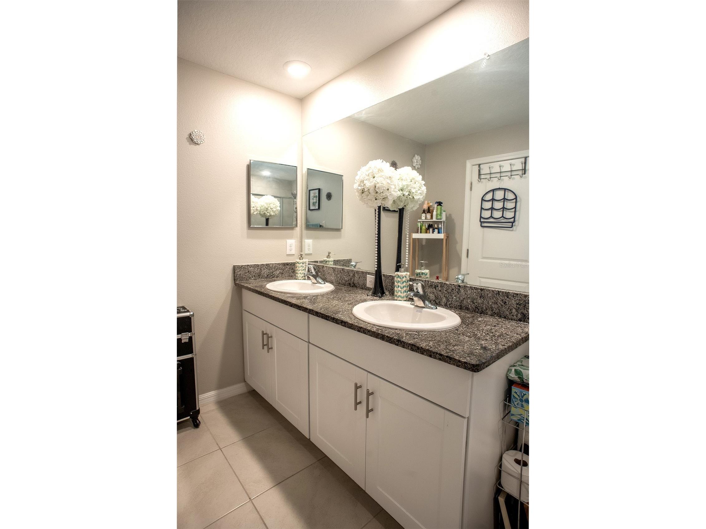 2160 Cerulean Sky Drive Lutz FL 33558 TB8497959 image24
