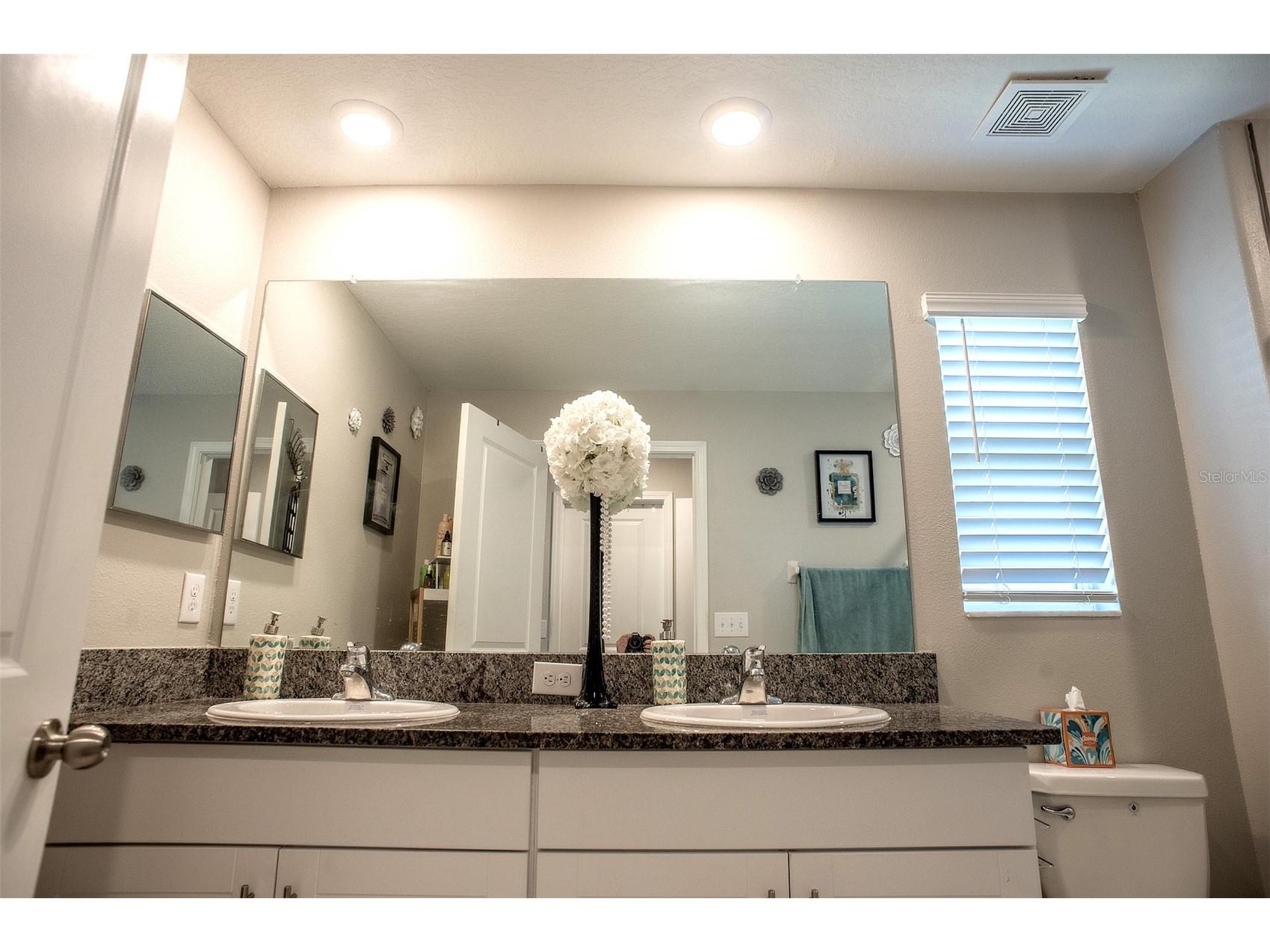 2160 Cerulean Sky Drive Lutz FL 33558 TB8497959 image26