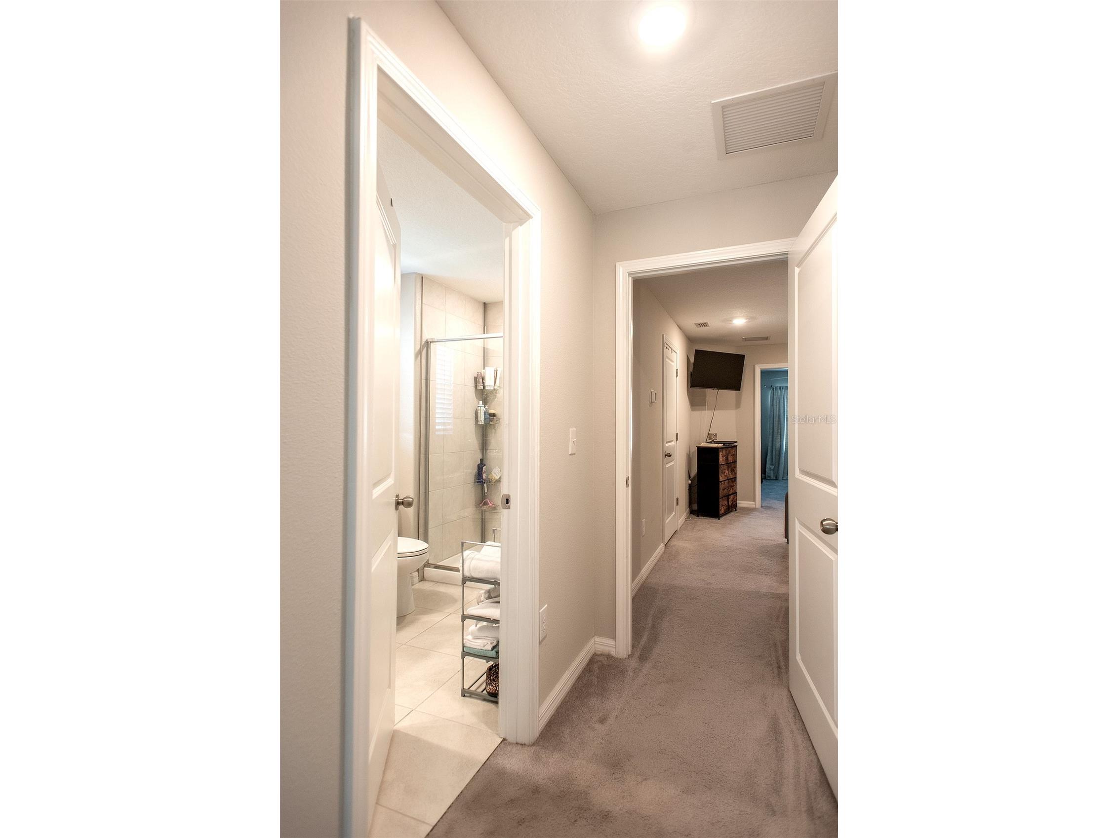2160 Cerulean Sky Drive Lutz FL 33558 TB8497959 image27