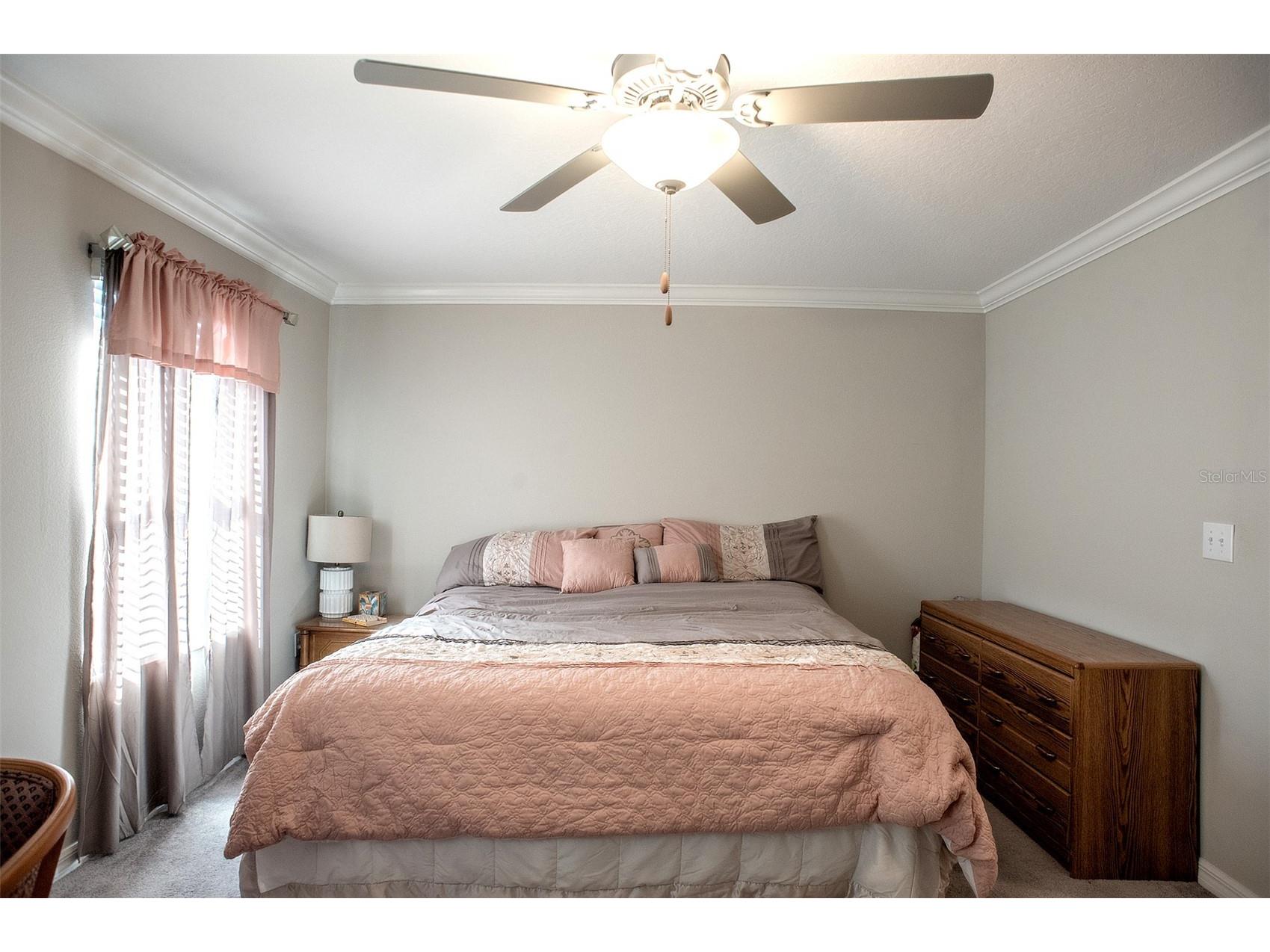 2160 Cerulean Sky Drive Lutz FL 33558 TB8497959 image30