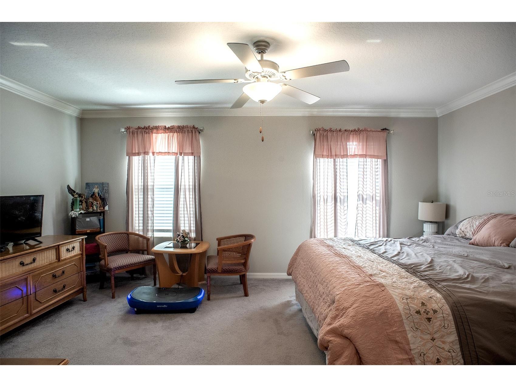 2160 Cerulean Sky Drive Lutz FL 33558 TB8497959 image31
