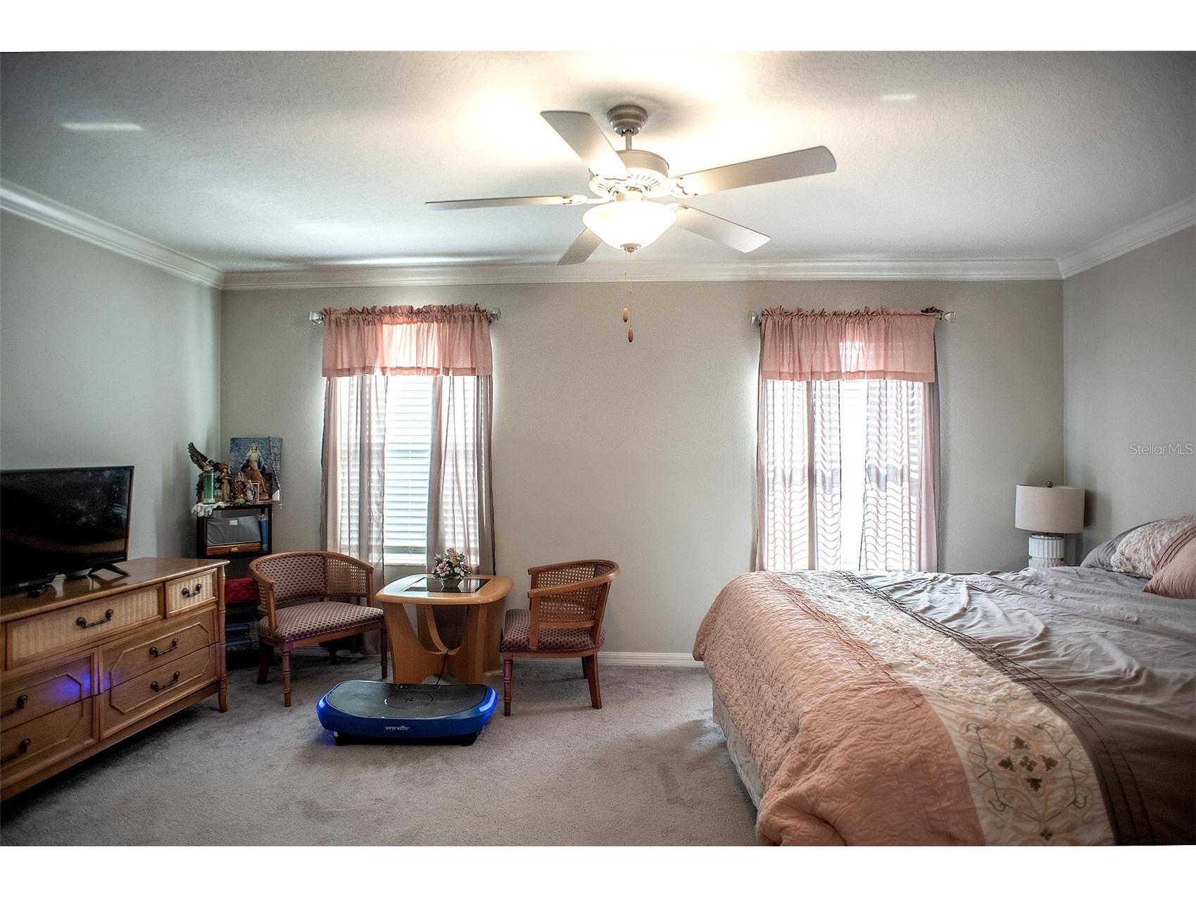 2160 Cerulean Sky Drive Lutz FL 33558 TB8497959 image32