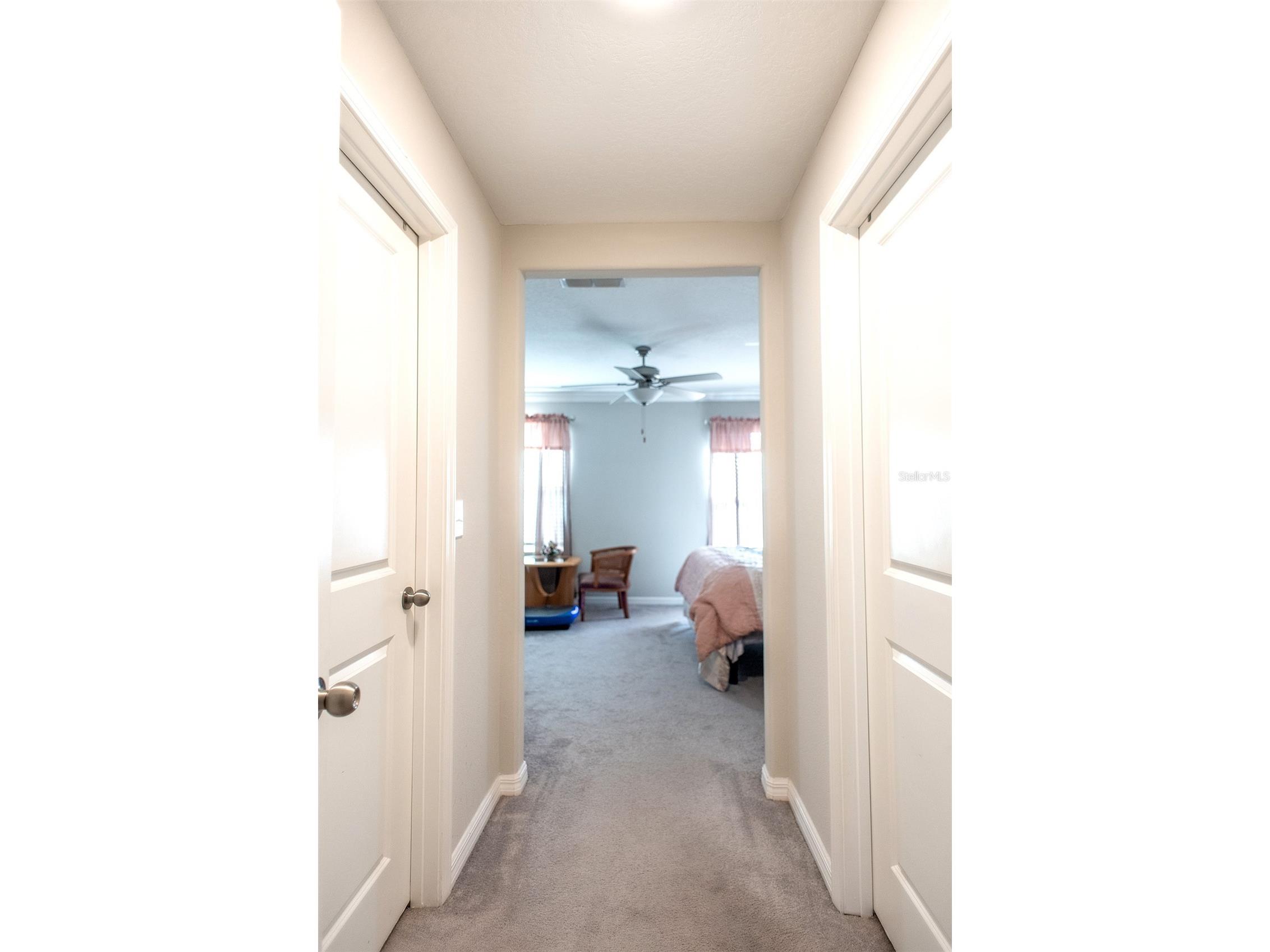 2160 Cerulean Sky Drive Lutz FL 33558 TB8497959 image33