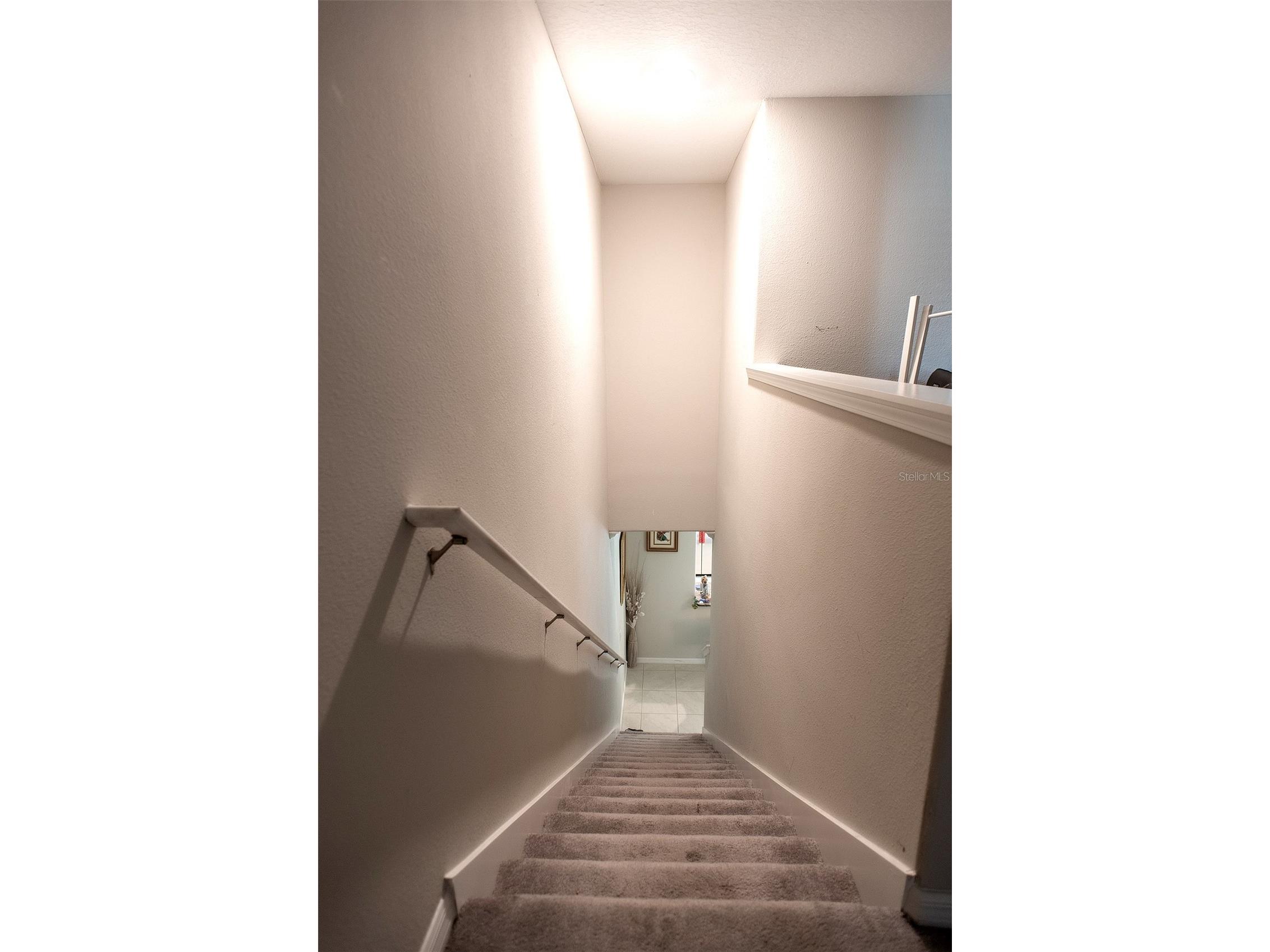 2160 Cerulean Sky Drive Lutz FL 33558 TB8497959 image37