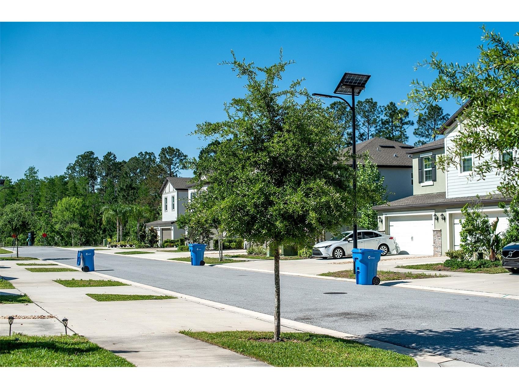 2160 Cerulean Sky Drive Lutz FL 33558 TB8497959 image43