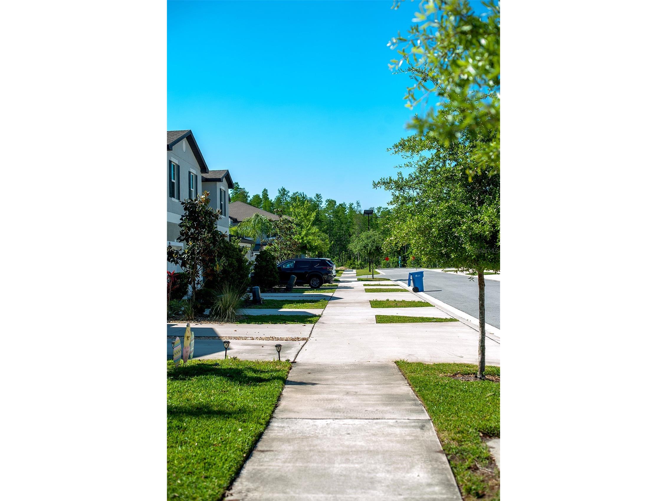 2160 Cerulean Sky Drive Lutz FL 33558 TB8497959 image44