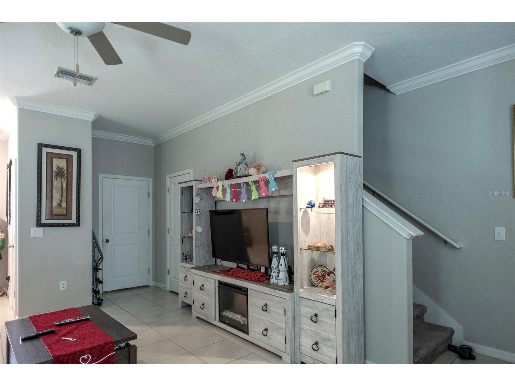 2160 Cerulean Sky Drive Lutz FL 33558 TB8497959 image5