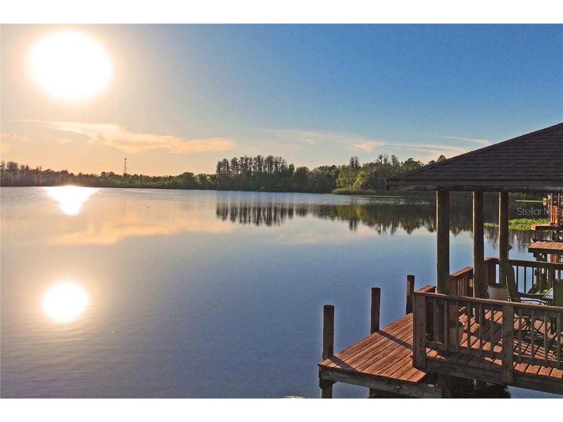 21604 Draycott Way Land O Lakes FL 34637 - Bay Lake TB8444622 image2