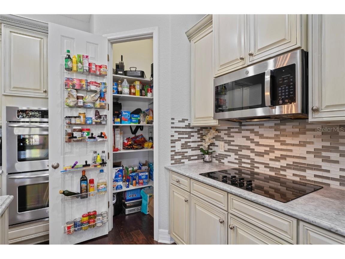 21604 Draycott Way Land O Lakes FL 34637 - Bay Lake TB8444622 image20