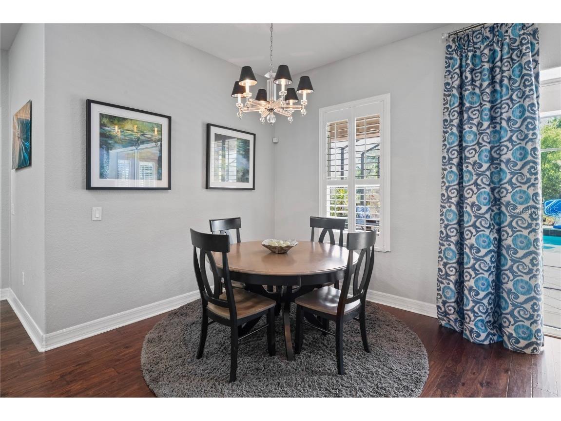 21604 Draycott Way Land O Lakes FL 34637 - Bay Lake TB8444622 image22