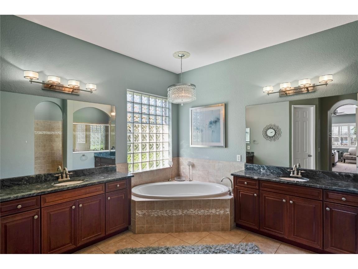 21604 Draycott Way Land O Lakes FL 34637 - Bay Lake TB8444622 image35