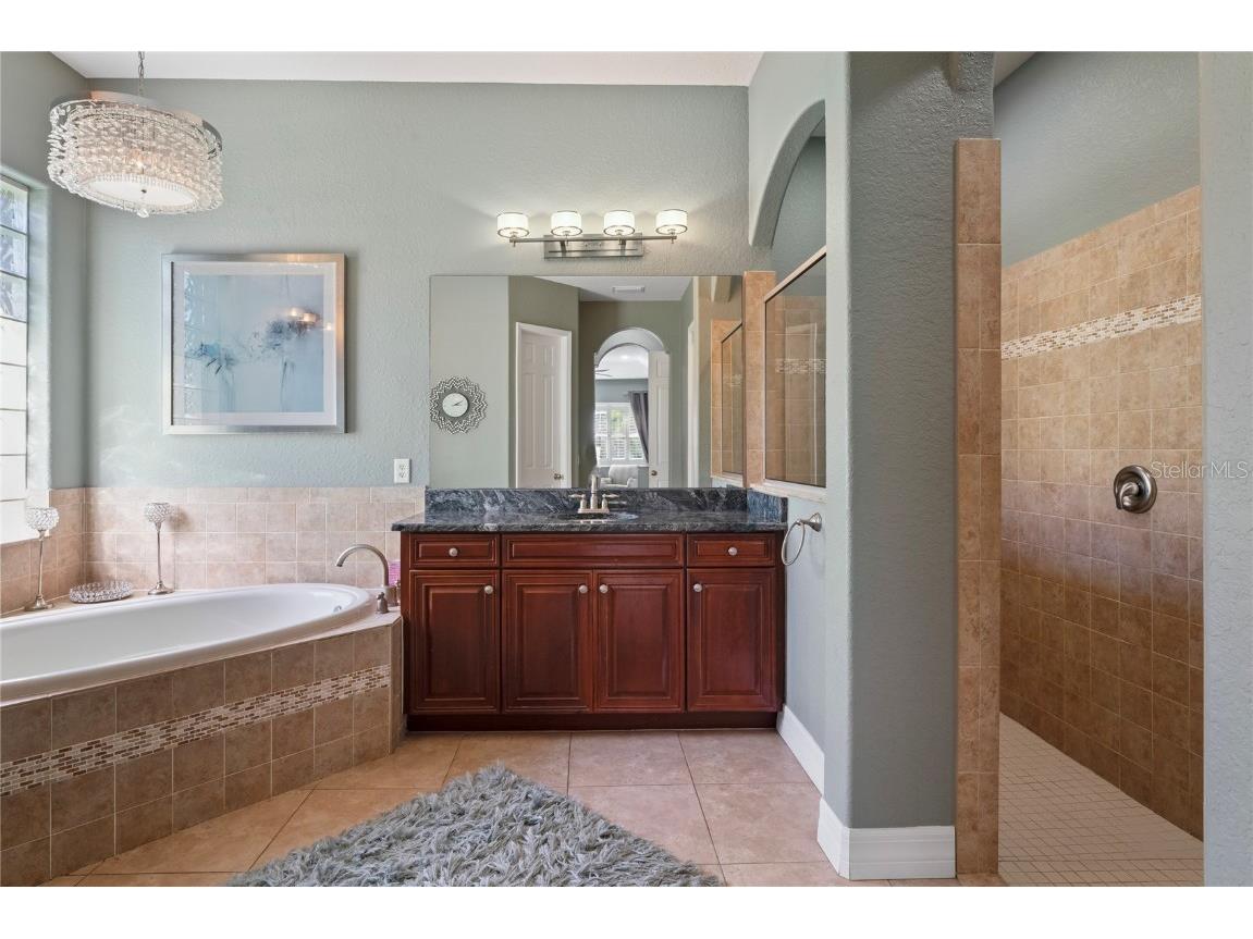 21604 Draycott Way Land O Lakes FL 34637 - Bay Lake TB8444622 image36