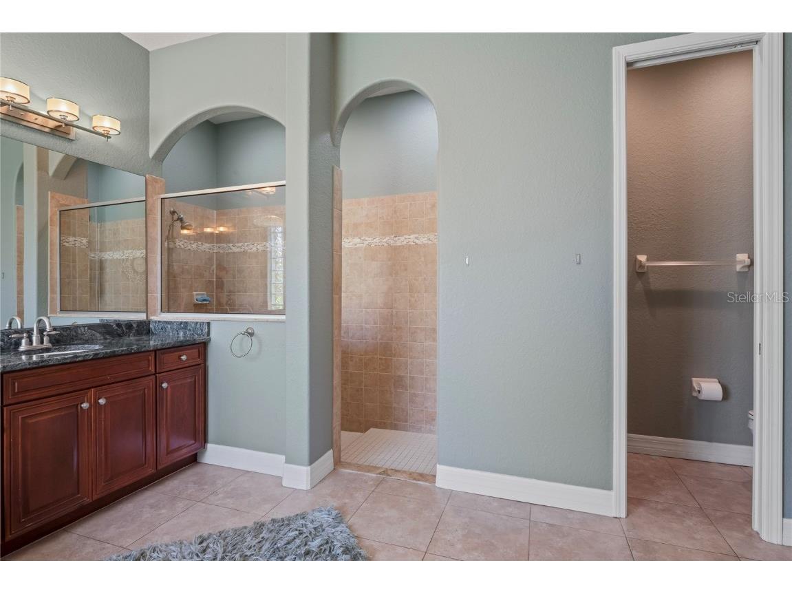 21604 Draycott Way Land O Lakes FL 34637 - Bay Lake TB8444622 image37