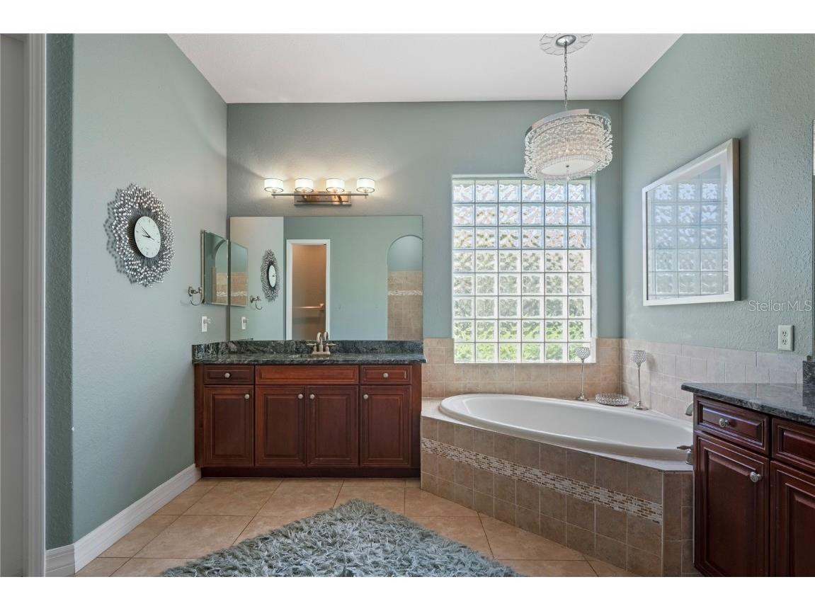 21604 Draycott Way Land O Lakes FL 34637 - Bay Lake TB8444622 image38