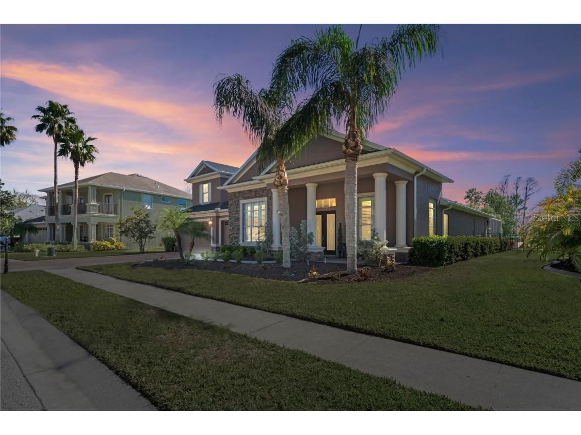 21604 Draycott Way Land O Lakes FL 34637 - Bay Lake TB8444622 image4