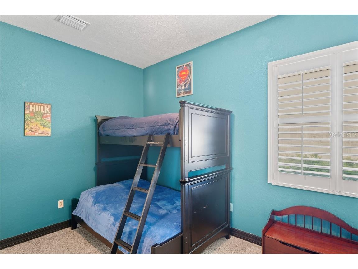 21604 Draycott Way Land O Lakes FL 34637 - Bay Lake TB8444622 image45