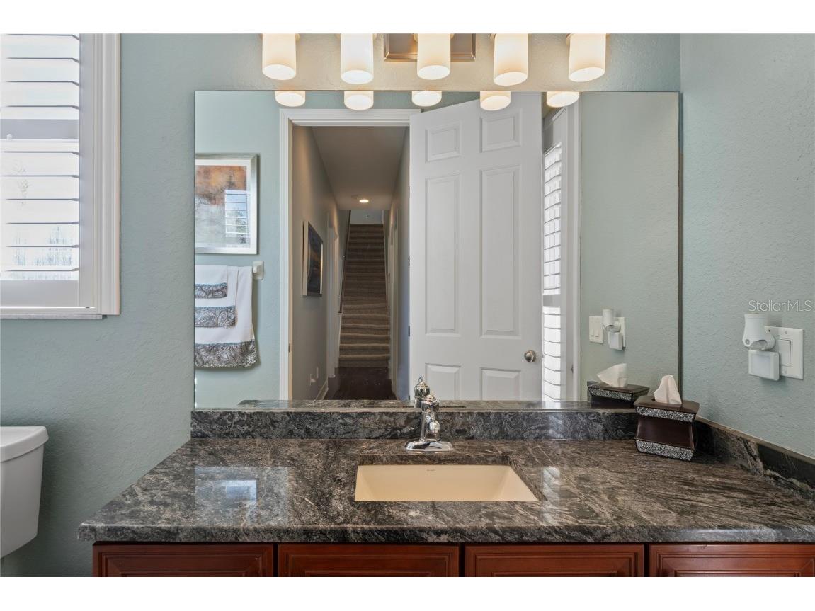 21604 Draycott Way Land O Lakes FL 34637 - Bay Lake TB8444622 image47