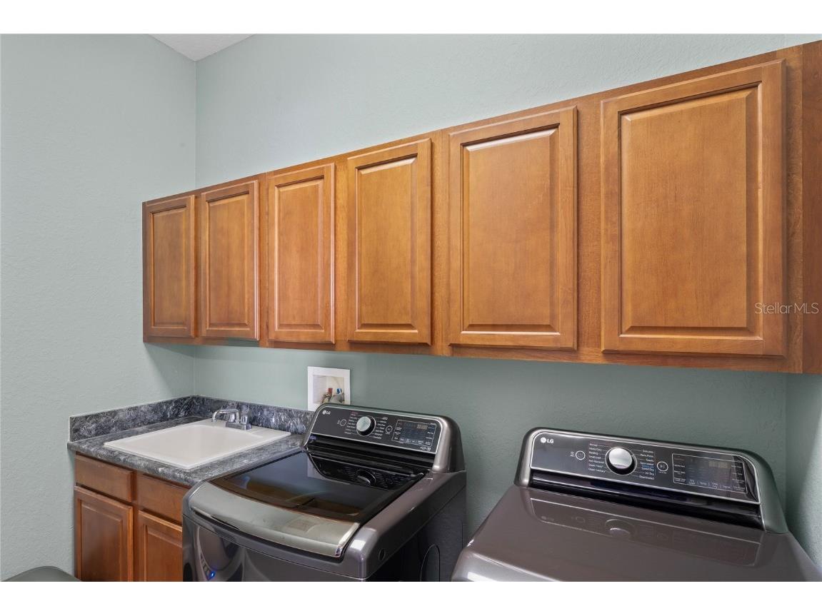 21604 Draycott Way Land O Lakes FL 34637 - Bay Lake TB8444622 image48