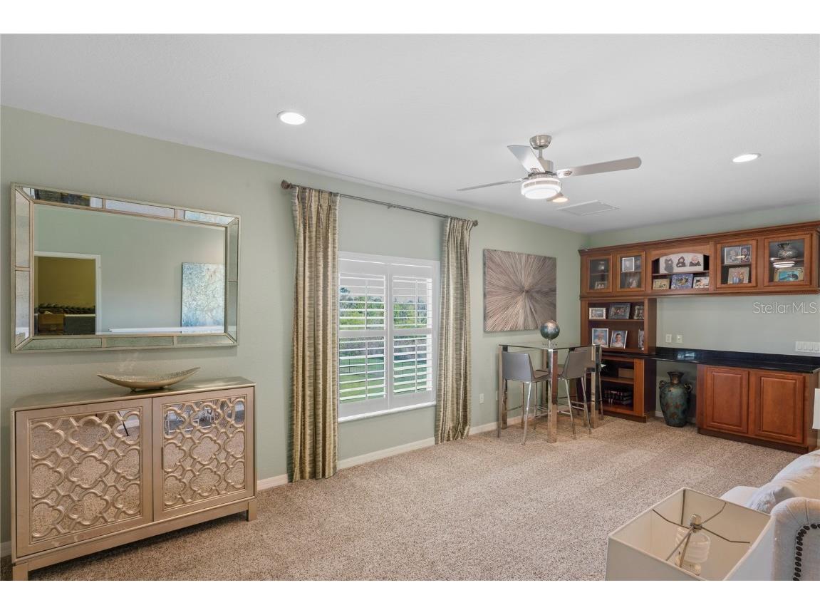 21604 Draycott Way Land O Lakes FL 34637 - Bay Lake TB8444622 image52