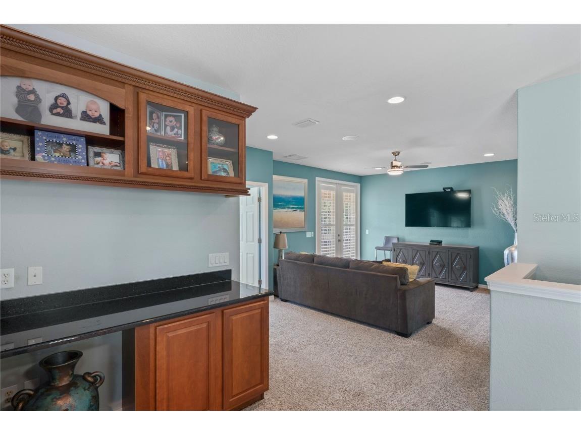 21604 Draycott Way Land O Lakes FL 34637 - Bay Lake TB8444622 image55