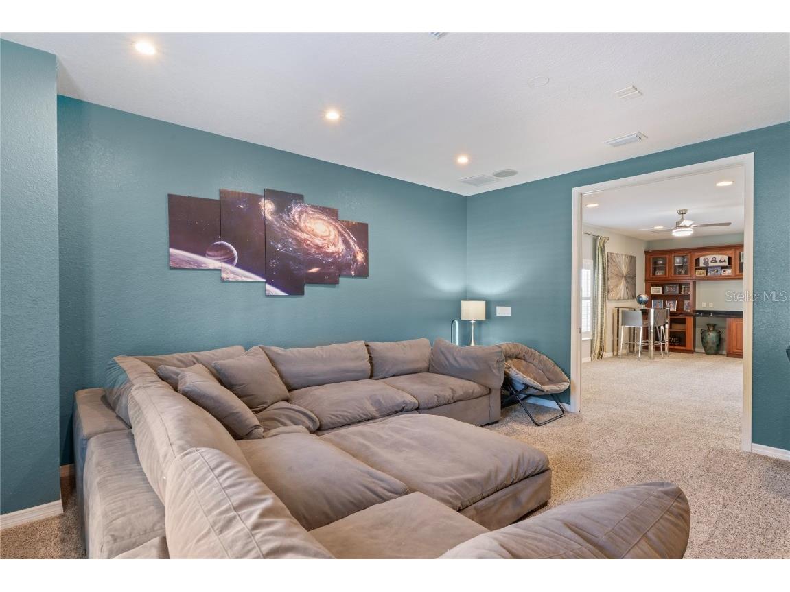 21604 Draycott Way Land O Lakes FL 34637 - Bay Lake TB8444622 image65