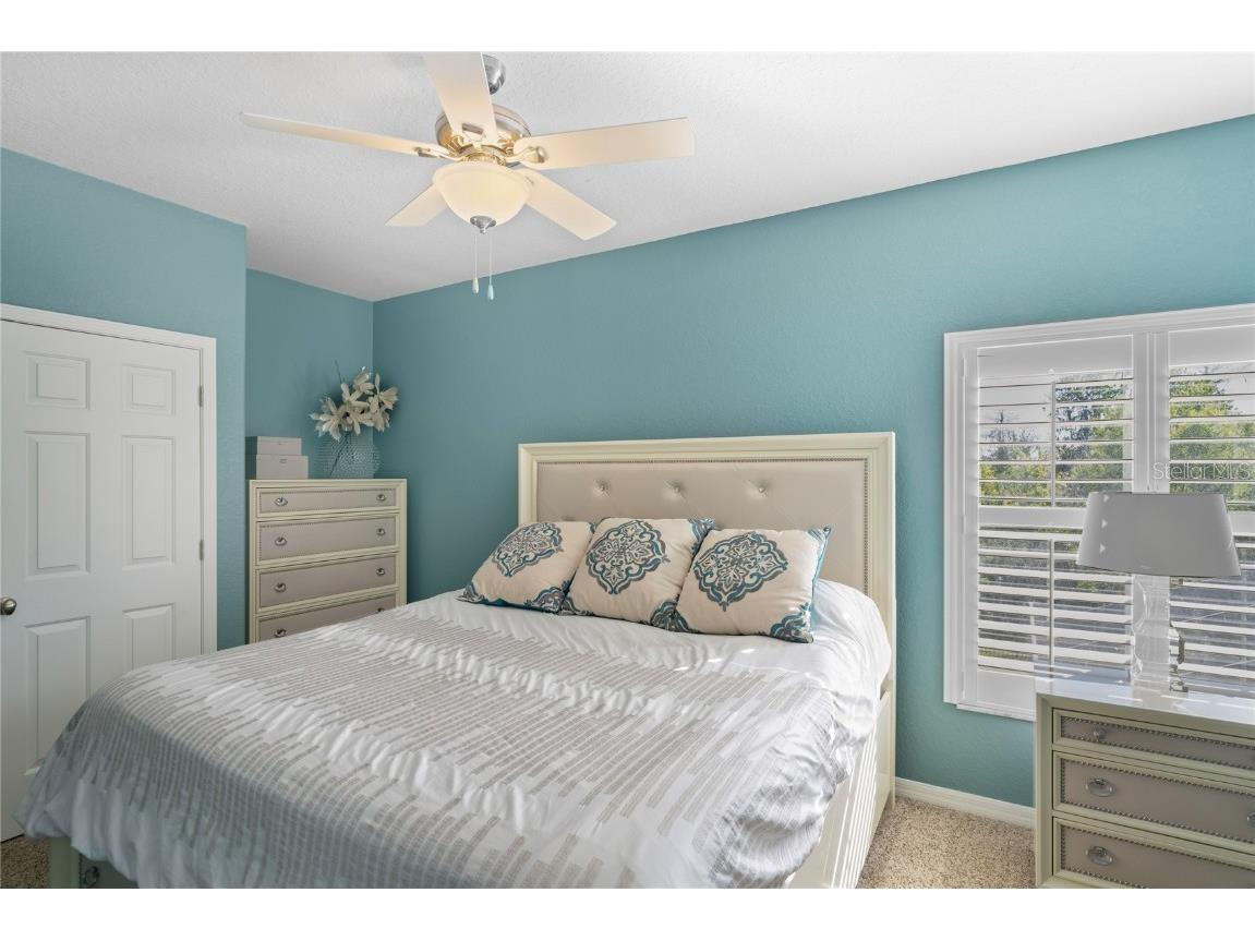 21604 Draycott Way Land O Lakes FL 34637 - Bay Lake TB8444622 image67