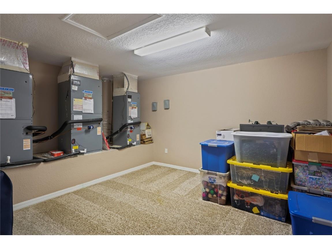 21604 Draycott Way Land O Lakes FL 34637 - Bay Lake TB8444622 image71