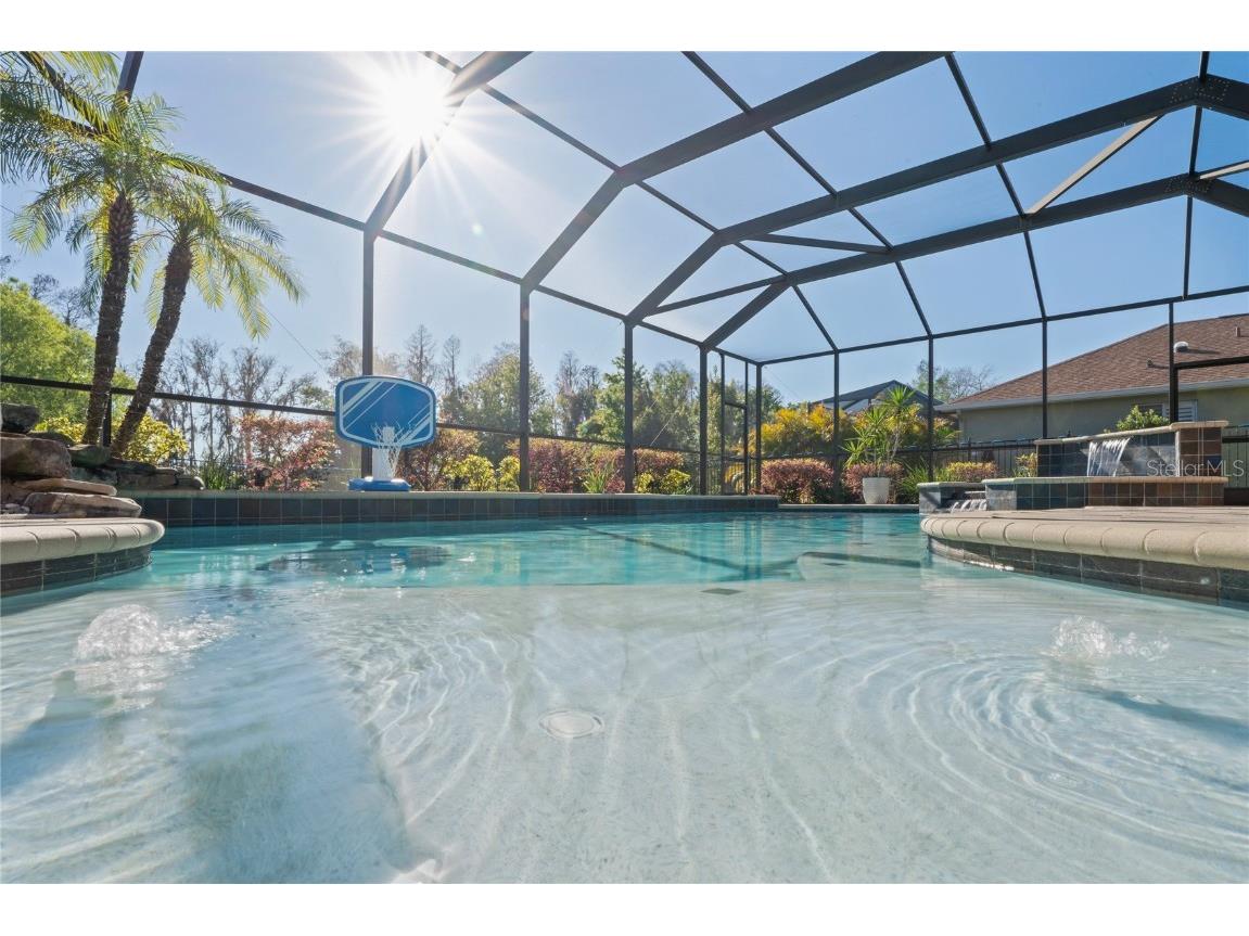 21604 Draycott Way Land O Lakes FL 34637 - Bay Lake TB8444622 image76