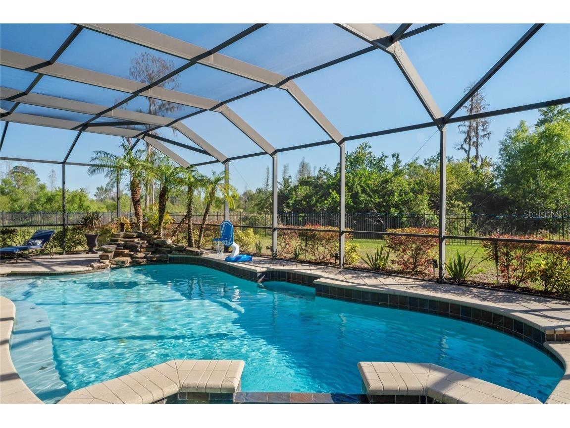 21604 Draycott Way Land O Lakes FL 34637 - Bay Lake TB8444622 image81