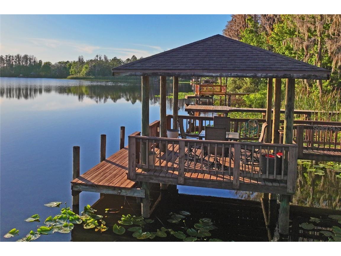 21604 Draycott Way Land O Lakes FL 34637 - Bay Lake TB8444622 image83