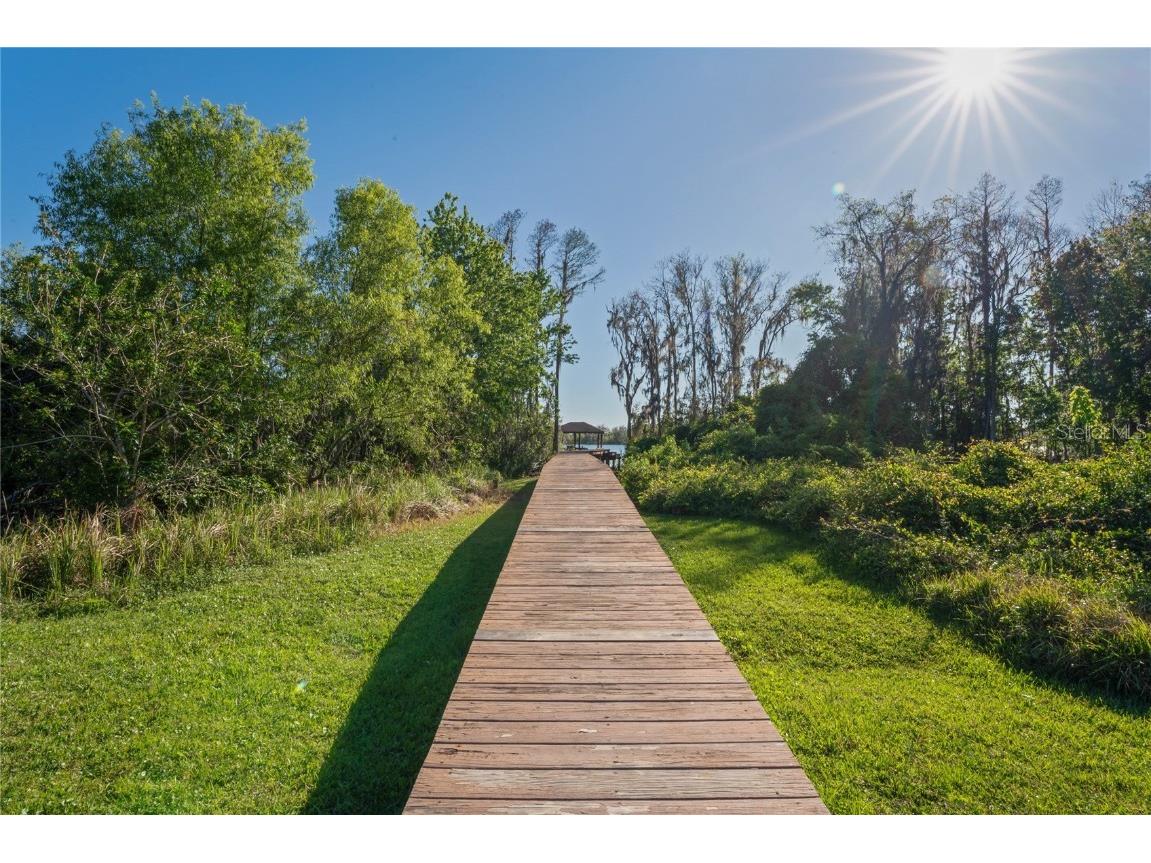 21604 Draycott Way Land O Lakes FL 34637 - Bay Lake TB8444622 image91